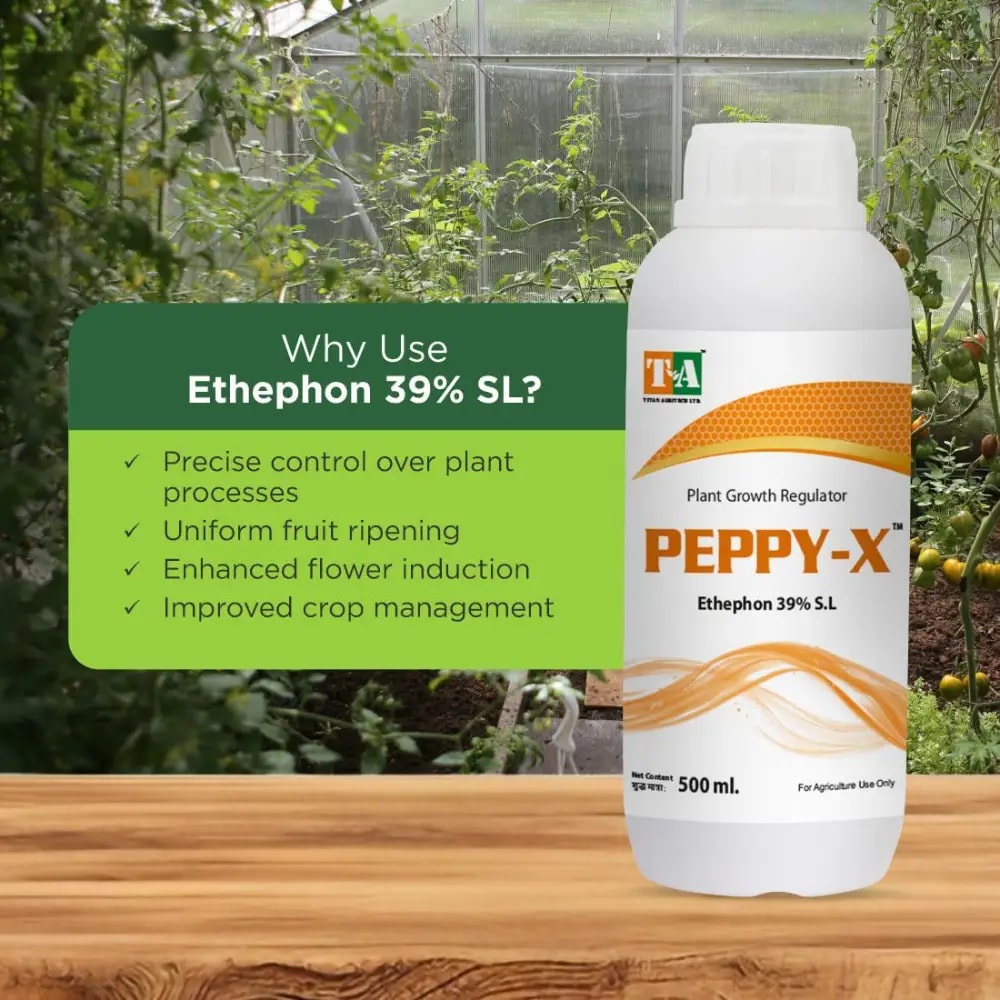 Titan Agritech Peppy-X Plant Growth Regulator