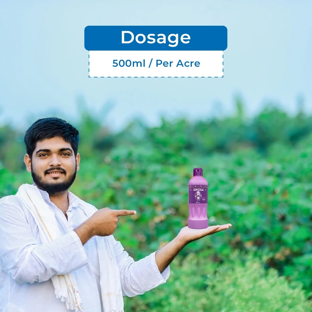 Crystal Sikosa Bensulfuron Methyl 4.8% + Pretilachlor 48% OD Herbicide, Use For Paddy - Image 5