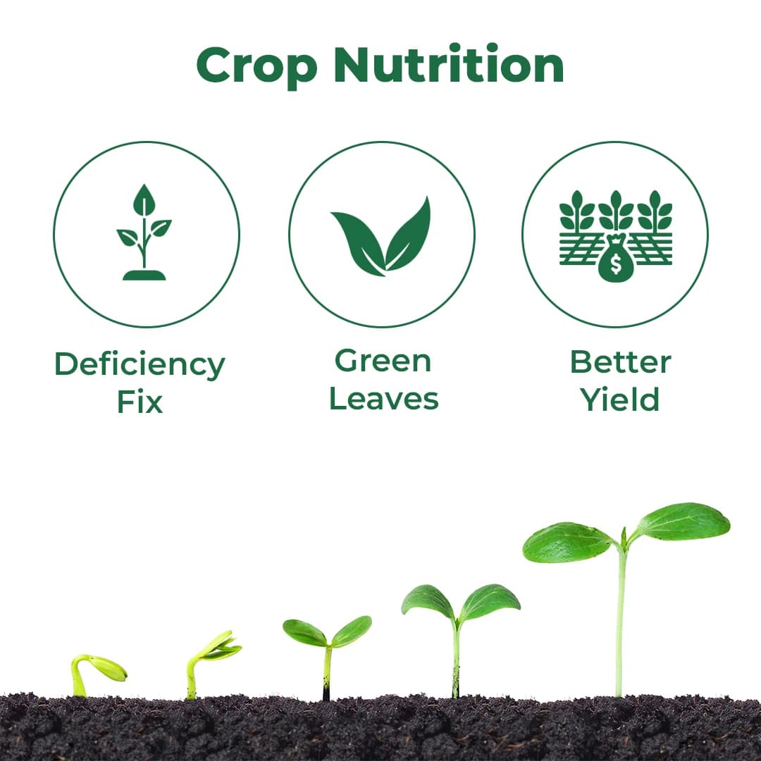 जीएसीआईएल समृद्ध बहु माइक्रोन्यूट्रियेंट खाद - गुजरात ग्रेड 2, बागवानी पौधों के लिए वृद्धि बूस्टर। - Image 3