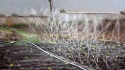 सिद्धि वेजिटेबल गार्डन रेन पाइप 40 मि.मी, 600 वर्ग मीटर क्षेत्र के लिए रेन पाइप(2) कॉक(6), जॉइंटर(6), एंड कैप(6), ग्रोमेट(6) और ड्रिल बिट(1) के साथ 2