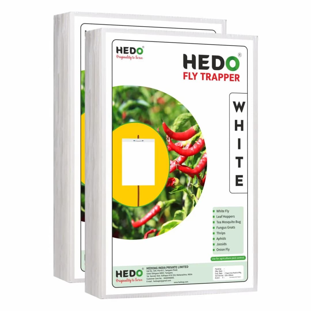 HEDO Eco A4 Size White Sticky Trap For Flower Thrips, Black Thrips, Best For Organic Vegetable And Fruits Farming Pests - Image 2