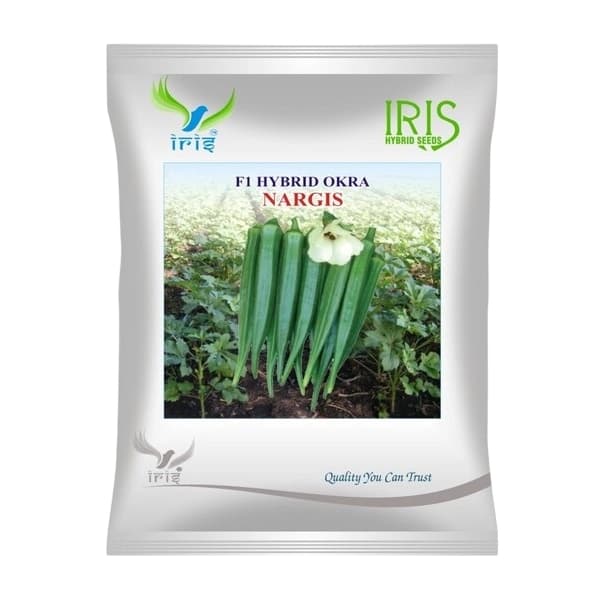 Iris Nargis F1 Hybrid Okra Seeds, High Yielding And Early Maturity, Suitable For Multiple Seasons - Image 1