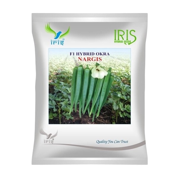 Iris Nargis F1 Hybrid Okra Seeds, High Yielding And Early Maturity, Suitable For Multiple Seasons