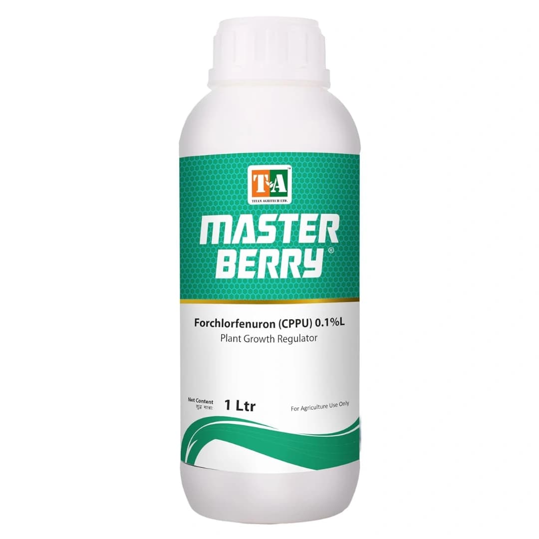 Titan Agritech Master Berry Forchlorfenuron Cppu 0.1% L Plant Growth Regulator, Suitable For Fruit Growth & Size Enhancer - Image 1