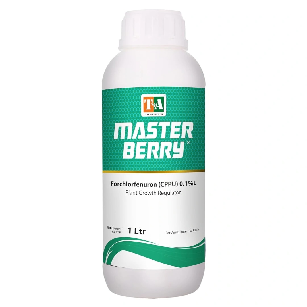Titan Agritech Master Berry Forchlorfenuron Cppu 0.1% L Plant Growth Regulator, Suitable For Fruit Growth & Size Enhancer