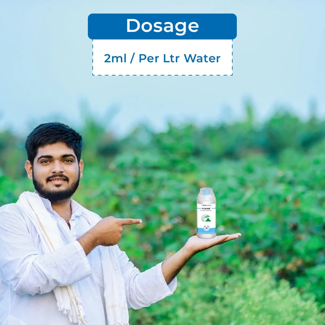 Tata Rallis FUJIONE Isoprothiolane 40% EC Systemic Fungicide With Protective and Curative Action - Image 5