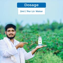 Tata Rallis FUJIONE Isoprothiolane 40% EC Systemic Fungicide With Protective and Curative Action 5