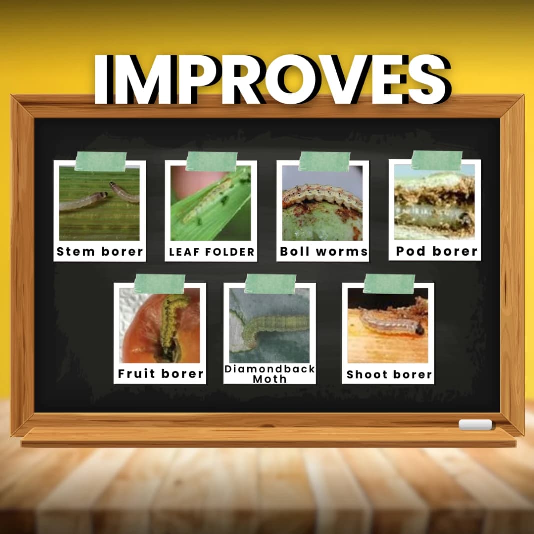 Katyayani Fluben Flubendiamide 39.35% SC Insecticide, Target a Range of Lepidopteran Pests - Image 8