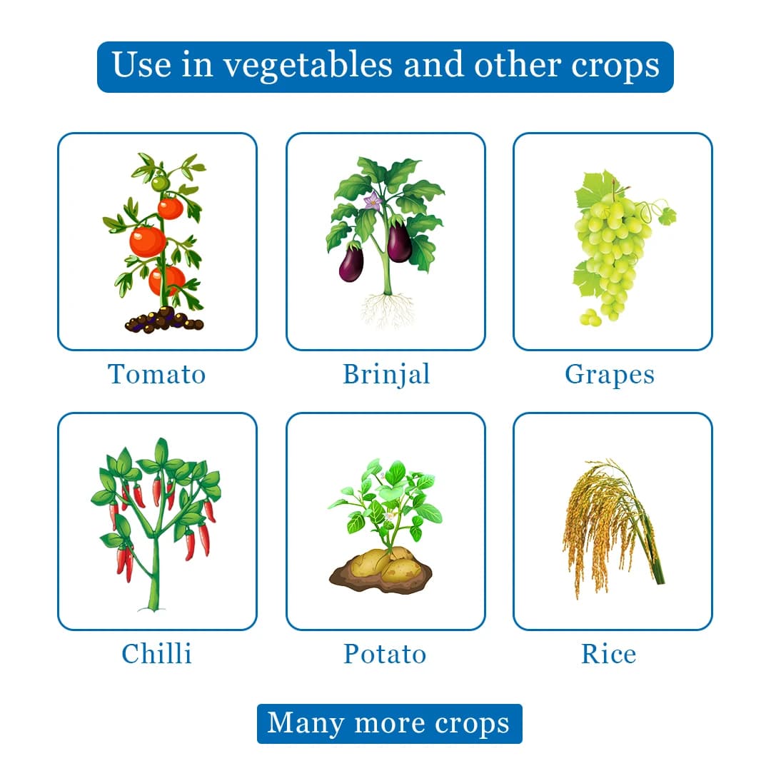 Dhanuka Spectrum Fungicide - Image 4