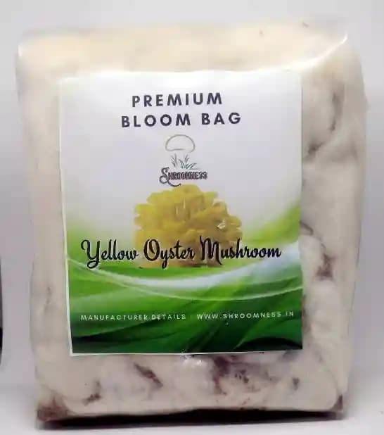 Shroomness Oyster Mushroom Combo, Ready To Fruit Mushroom Block (White, Grey, Yellow, Pink) - Image 2