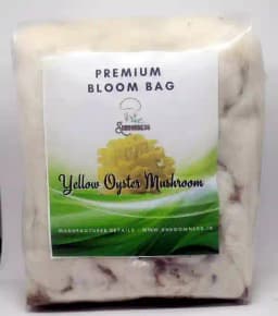 Shroomness Oyster Mushroom Combo, Ready To Fruit Mushroom Block (White, Grey, Yellow, Pink) 2