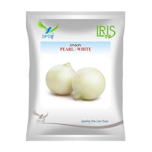 Iris Pearl-White OP Onion Seeds, Crisp White And Small Round Bulbs, Open Pollinated