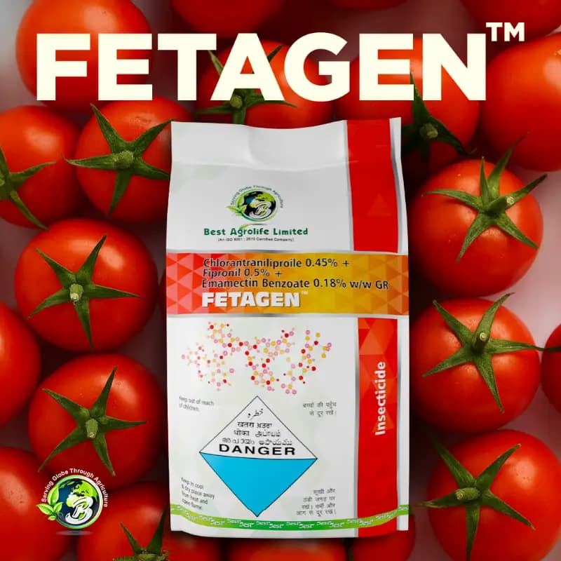 Best Agrolife FETAGEN Chlorantraniliprole 0.45% + Fipronil 0.5% + Emamectin Benzoate 0.18% GR Insecticide, Triple Action For Pest Control In Tomato - Image 3