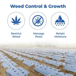 Siddhi Mulch Film, Mulching Sheet, Mulching Paper Black & Silver Mulching Paper (1.2 Meter or 4 Ft Width) 400 Meter Length 3