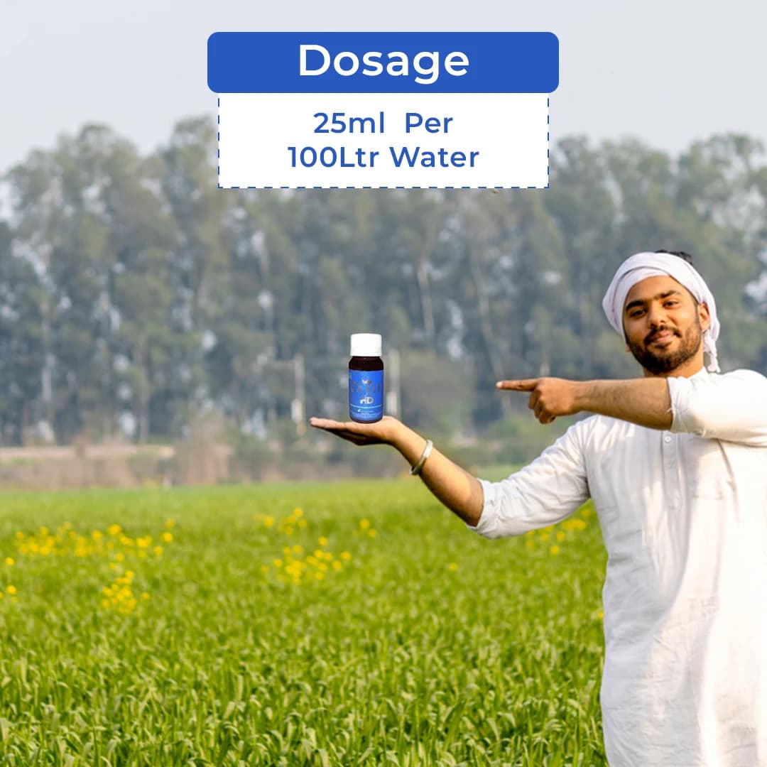 Aries Agro Rajat HD For Bacterial Treatment, Metallic Ions Embedded With Herbal Extract for all Crops - Image 5