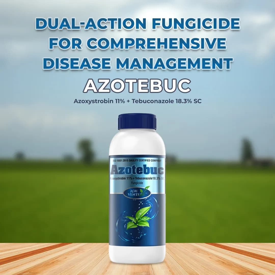 Agriventure Azotebuc ( Azoxystrobin 11% + Tebuconazole 18.3% Sc ) Fungicide - Image 2