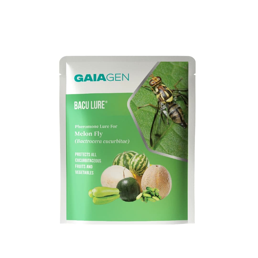 Gaiagen Pheromone Lure For Melon Fly (Bactrocera Cucurbitae) And Insect Fly Trap, IMO Certified. - Image 2