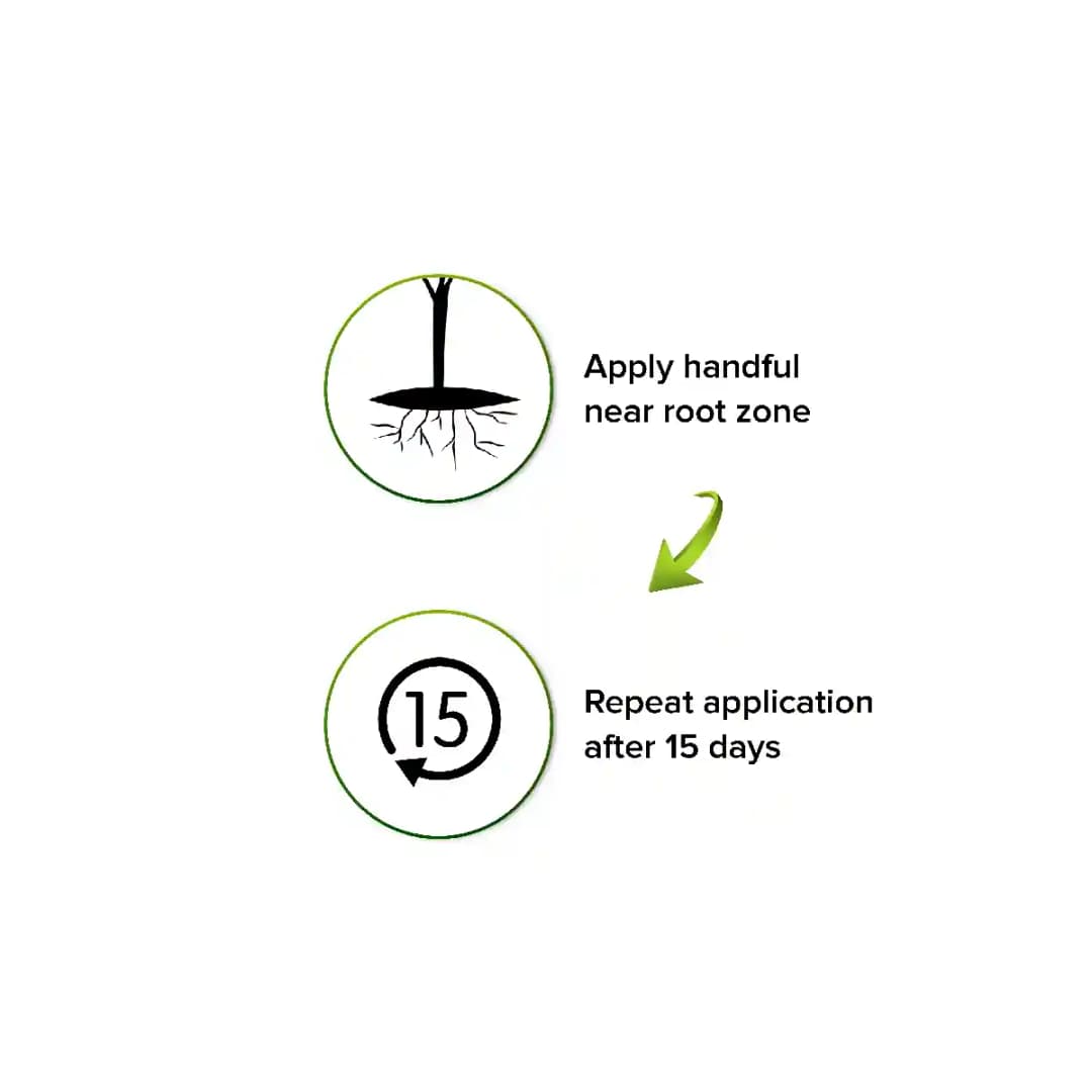 Green Era Green Ville, Organic Plant Food Ready to Use, Soil Mixture with Fertilizers for Plants