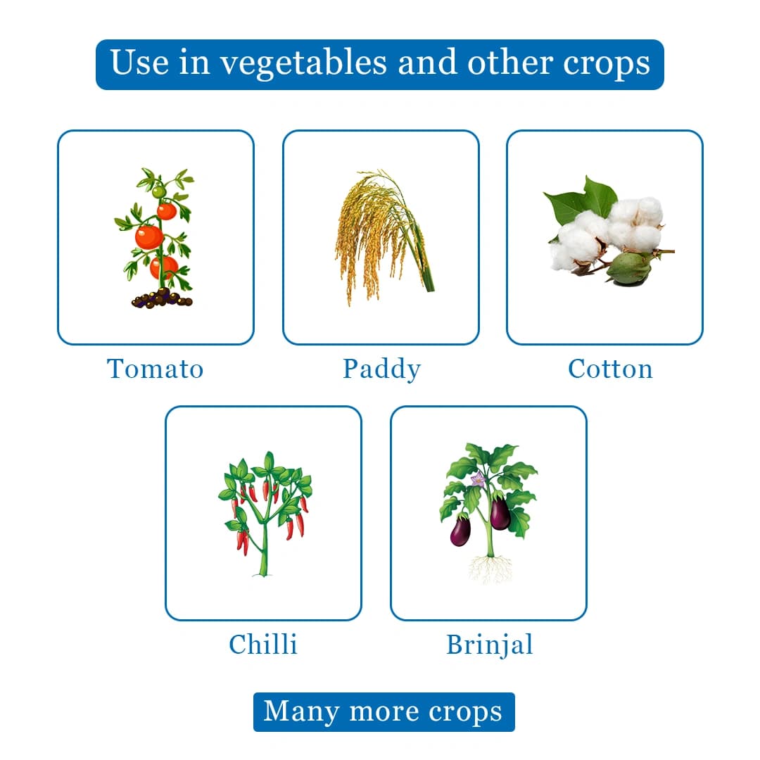 SML Vamos Insecticide - Image 5