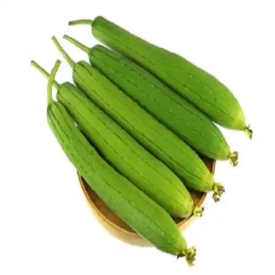 Jivit F1 Hybrid Sponge Gourd Raiyna Light Green, Gilki Ke Beej, Ghiya ke Beej. - Image 3