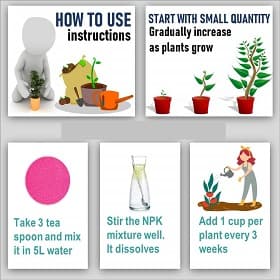 Greatindos Premium Quality NPK 30:30:30 Hydroponic Fertilizer, Best For All Micronutrient - Image 3