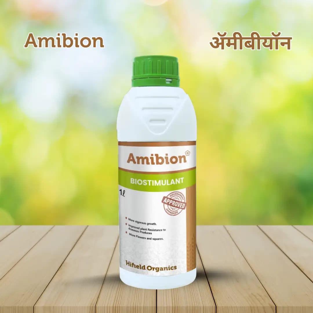 Hifield Amibion Protein Supplement, Derived From Pepticide and Amino Acids 65-68% , Flower Booster, Boosts Immunity, Vigor, and Plant Growth - Image 5