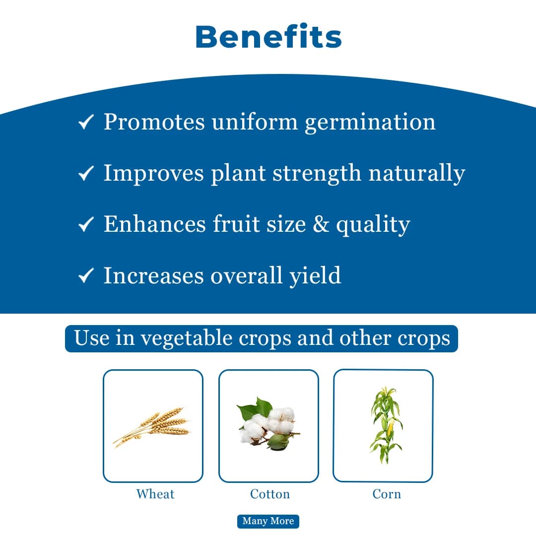 Sumitomo Sumi Blue Diamond Gibberellic Acid 0.1% GR Plant Growth Regulator, Complete Development Helps the Paddy Plant - Image 4