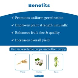 Sumitomo Sumi Blue Diamond Gibberellic Acid 0.1% GR Plant Growth Regulator, Complete Development Helps the Paddy Plant 4