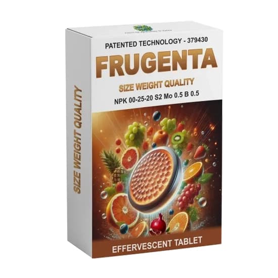 Biofizz FRUGENTA Npk 00:25:20 S2 Mo 0.5 B 0.5 Effervescent Tablet, Iprove Fruit Size, Sweetness, Color, And Quality For Higher Yields