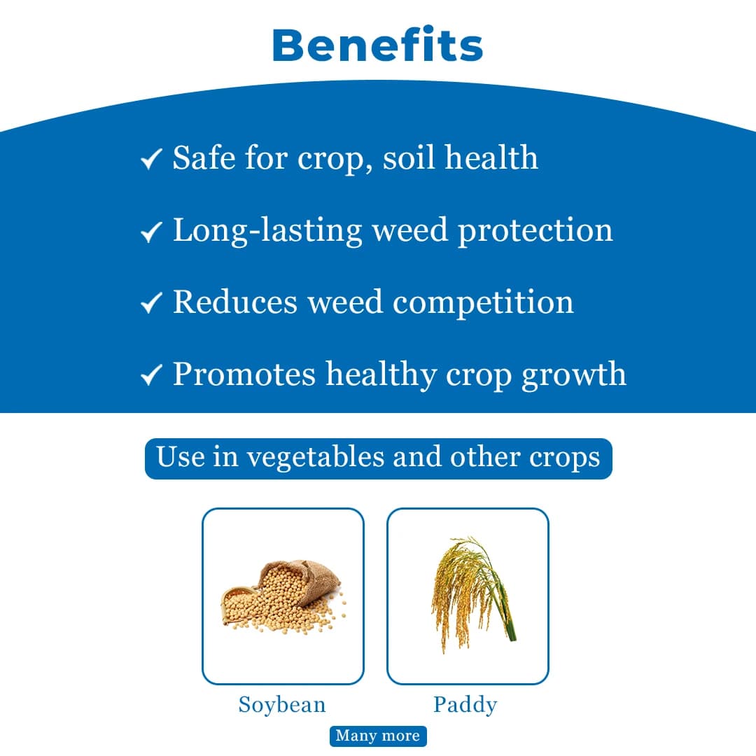 Dhanuka Qurin Chlorimuron Ethyl 25% WP Herbicide, Effective Control Weed In Paddy And Soybean Crops - Image 4