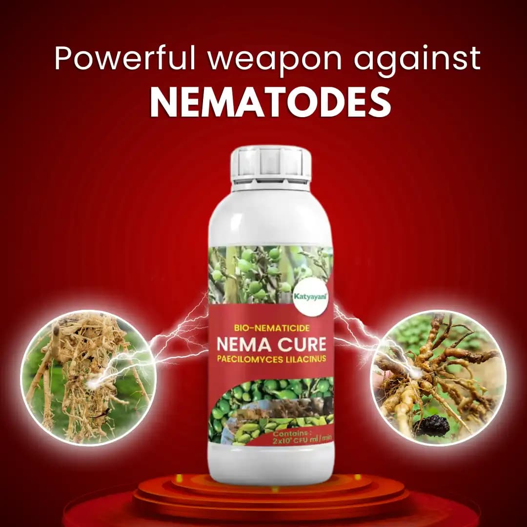 Katyayani Nema Cure Paecilomyces Lilacinus Bio Fungicide Liquid, Organic Solution For Controlling Nematodes In Vegetables, Fruits, and Other Crops - Image 2