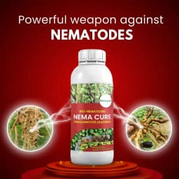Katyayani Nema Cure Paecilomyces Lilacinus Bio Fungicide Liquid, Organic Solution For Controlling Nematodes In Vegetables, Fruits, and Other Crops 2