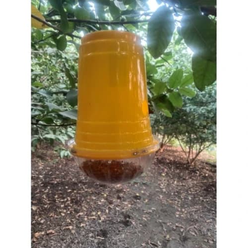 WAVAR Fruit Fly Trap with Bactrocera Cucurbitae Lure, Effective For Melon Fruit Fly Control In Cucurbit Crops - Image 5