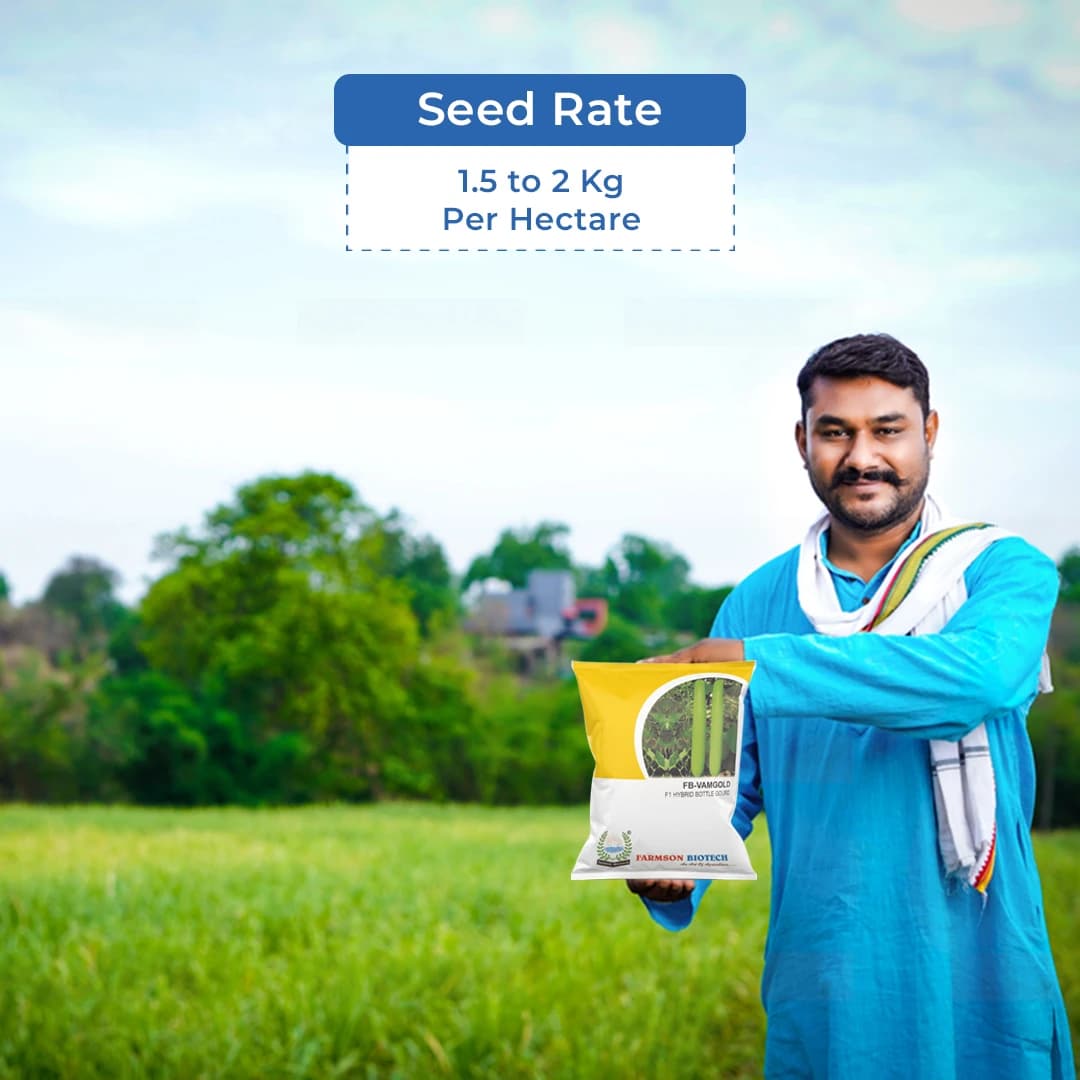 Farmson FB Vamgold F1 Hybrid Bottle Gourd Seeds, High Yielding Variety, Dark Green Uniform Glossy - Image 5