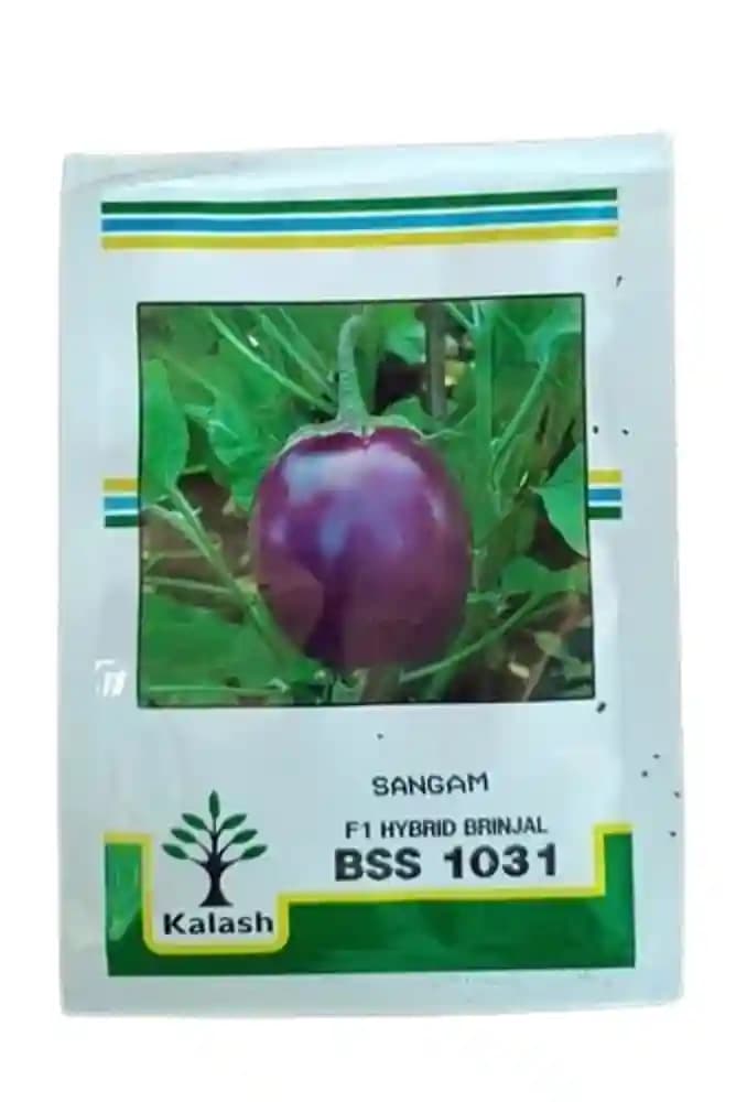 Kalash BSS 1031 Sangam Brinjal (Baingan) Seeds - Image 1