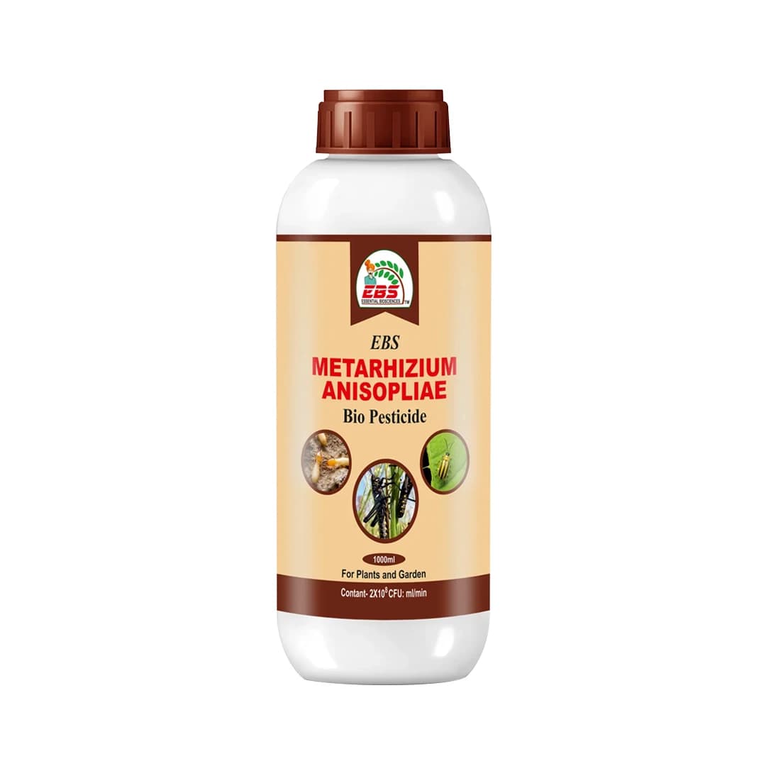 EBS Metarhizium Anisopliae Bio Pesticide, Control Root Weevils, Plant Hoppers, Japanese Beetle, Black Vine Weevil On All Type Of Crops - Image 2