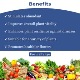 FLOWER MAGIC - Effective Flowering Stimulant and Enhancer, Combination Of N.B, Emulsifier, and Fulvic Acid 4