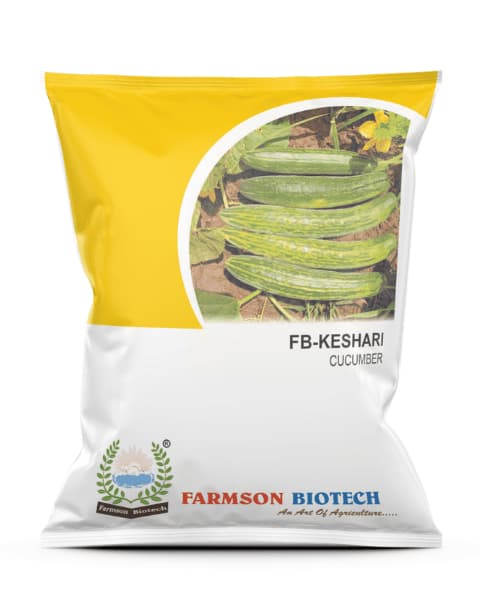 Farmson FB Keshari Cucumber Seeds, High Yield, Bitter-Free, Ideal For Summer and Kharif
