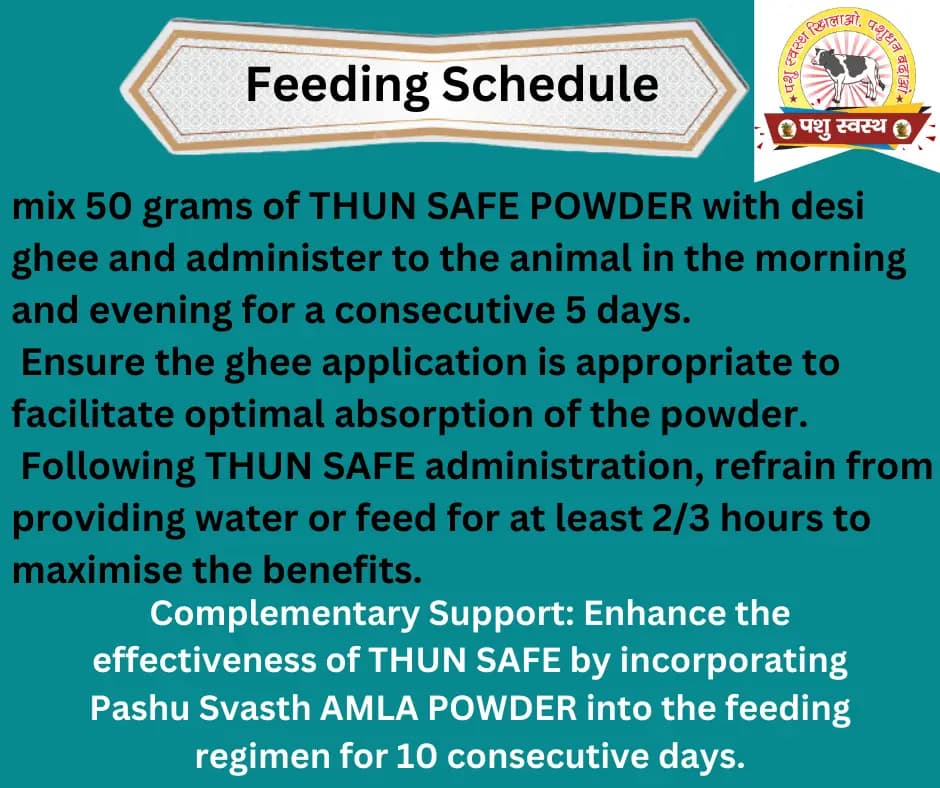 PASHU SVASTH THUN SAFE POWDER, Animal Health Supplements, Natural Mastitis & Udder Care Herbal Remedy For Dairy Animals - Image 3