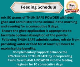 PASHU SVASTH THUN SAFE POWDER, Animal Health Supplements, Natural Mastitis & Udder Care Herbal Remedy For Dairy Animals 3