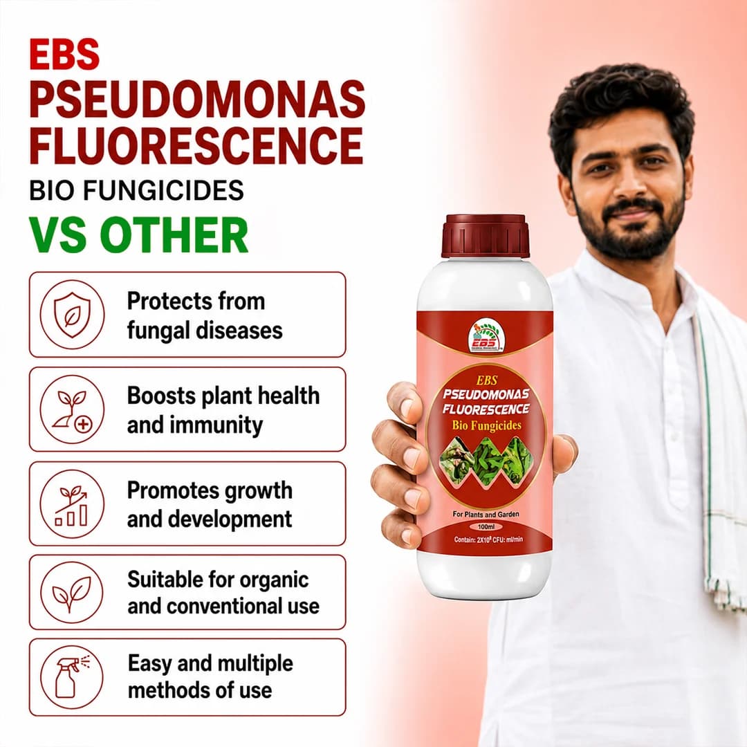 EBS ಸ್ಯೂಡೋಮೊನಾಸ್ ಫ್ಲೋರೆಸೆನ್ಸ್ ಜೈವಿಕ ಶಿಲೀಂಧ್ರನಾಶಕ, ಎಲ್ಲಾ ಬೆಳೆಗಳಲ್ಲಿ ಬೇರು ಕೊಳೆ, ಕಾಂಡ ಕೊಳೆ, ಕಾಲರ್ ರಾಟ್ ರೋಗ ನಿಯಂತ್ರಣ - Image 7