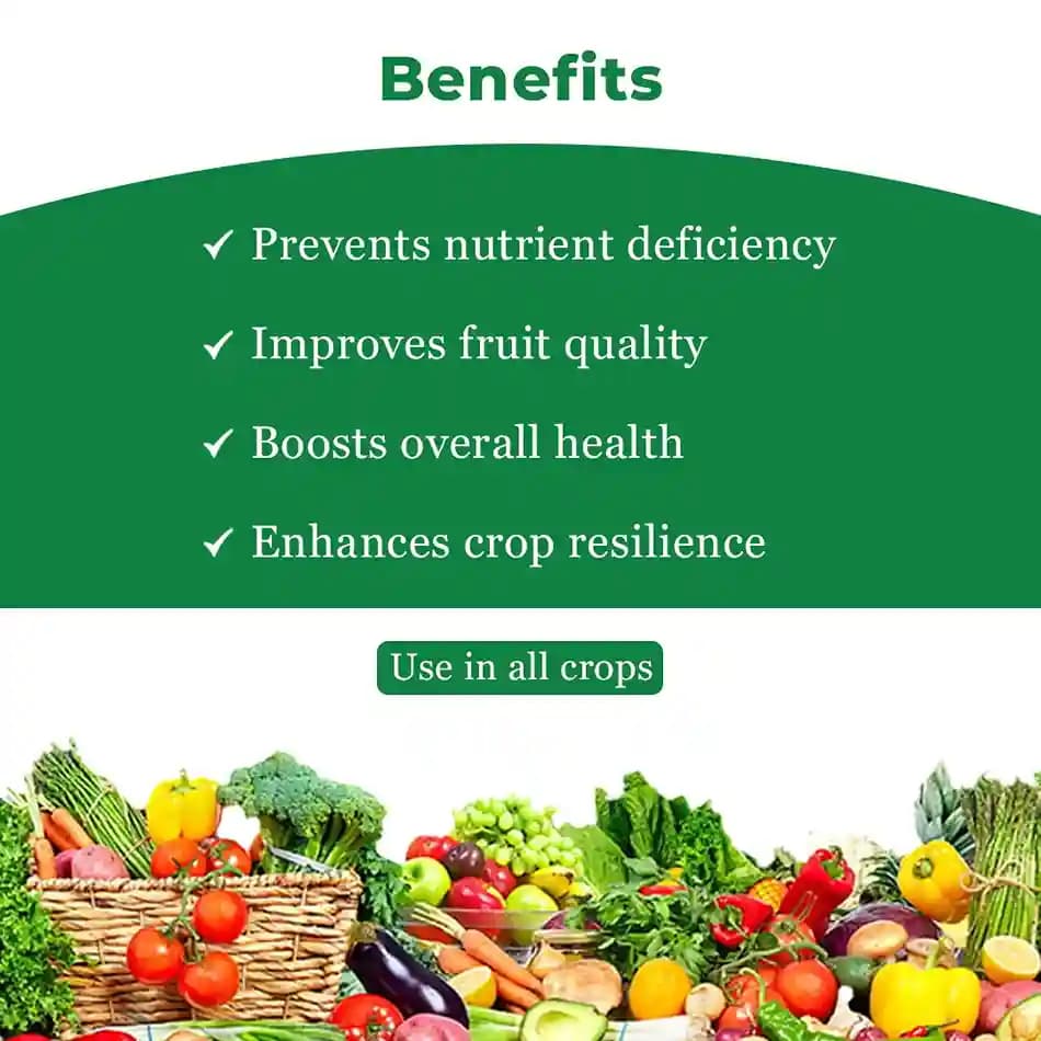 बीएसीएफ न्यूट्रिक्सन कैल एसएल - कैल्शियम, बोरोन, अमीनो एसिड। फल और फूल गिरने से रोकता है, जैविक और अजैविक तनाव को कम करता है, फल का आकार बढ़ाता है - Image 4