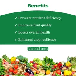 बीएसीएफ न्यूट्रिक्सन कैल एसएल - कैल्शियम, बोरोन, अमीनो एसिड। फल और फूल गिरने से रोकता है, जैविक और अजैविक तनाव को कम करता है, फल का आकार बढ़ाता है 4