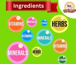 PASHU SVASTH HIT REPEATER POWDER, Natural Herbs Formula For Improved Fertility And Preventing Repeat Breeding In Cows And Buffaloes 4