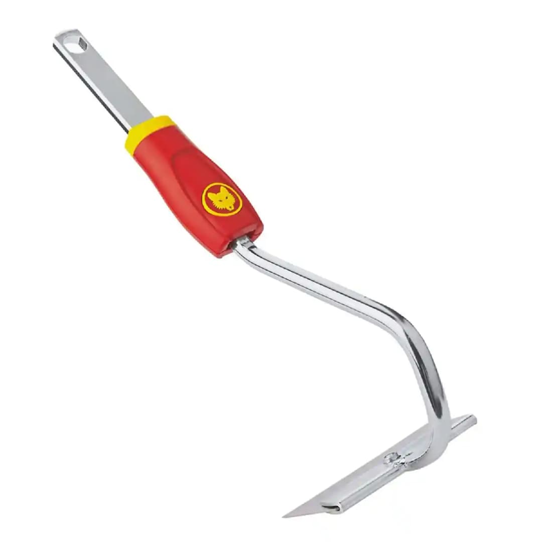 वोल्फ गार्टन फ्लोरल हो (HU M15) 15 सेमी - हैंडल रहित ड्रॉ हो निराई उपकरण, उत्कृष्ट निराई-गुड़ाई का औज़ार