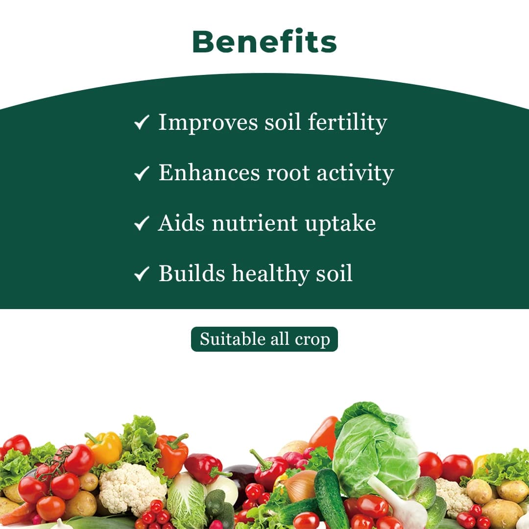 Green Revolution Jivanu NPK Consortia Bacteria Liquid Bio Fertilizer, Improves Soil Fertility And Plant Health. - Image 4