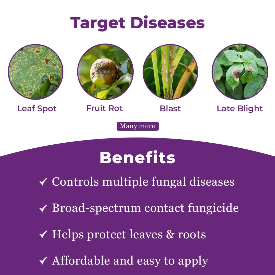 कात्यायनी केजेब एम-45 मैंकोज़ेब 75% डब्लूपी संपर्क फफूंदनाशक, कृषि पौधों और घरेलू बग़ीचे में सभी फफूंद संक्रमणों और धान के बिसवां का प्रभावी नियंत्रण - Image 3