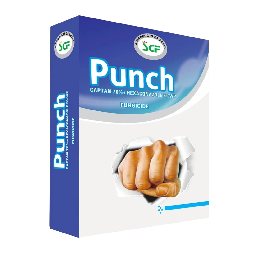 EBS Punch Captan 70% + Hexaconazole 5% WP Fungicide, Dual-Action Contact And Systemic Broad-Spectrum Disease Control