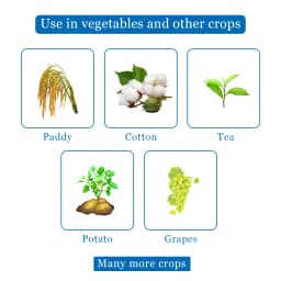Dhanuka Ozone Paraquat Dichloride 24% SL, Broad-Spectrum, Non Selective Contact Herbicide 4