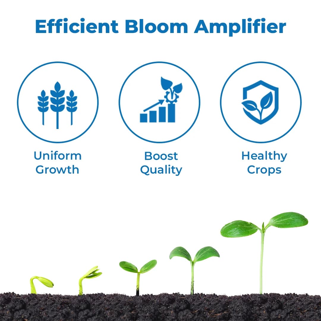 HPM 24 KARAT (Gibberellic Acid 0.001% L), Unique Combination Of Seaweed Extracts And Gibberellic Acid - Image 3